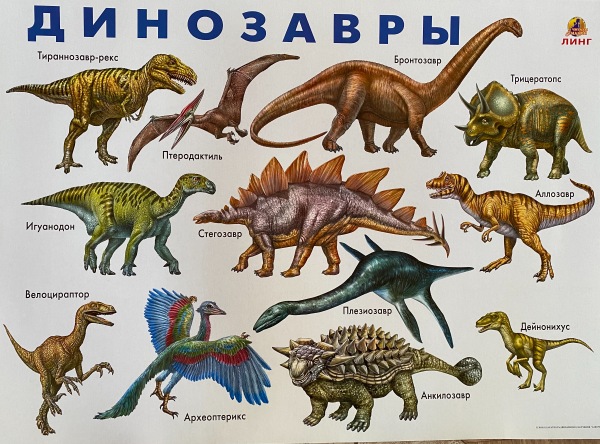 Плакат Динозавры-1