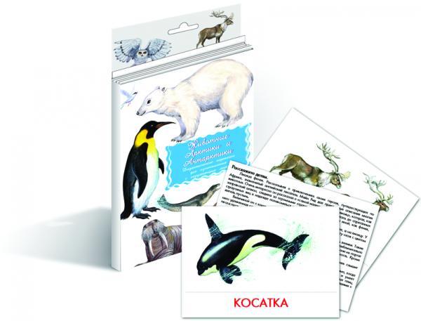 Карточки "Животные Арктики и Антарктики"