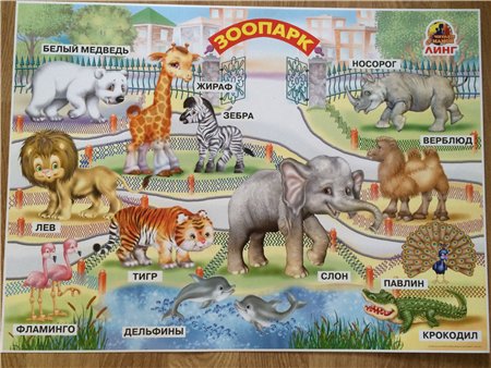 Плакат Зоопарк