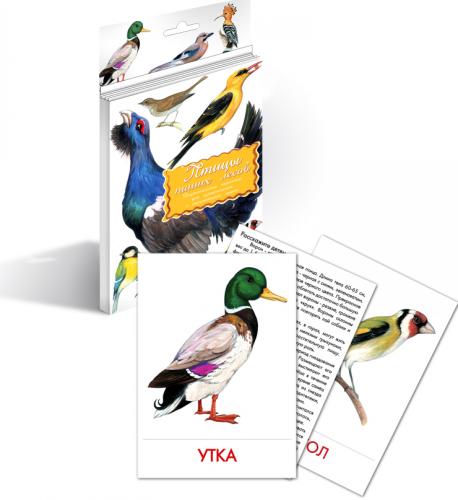 Карточки "Птицы наших лесов"
