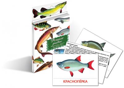 Карточки "Речные рыбы"